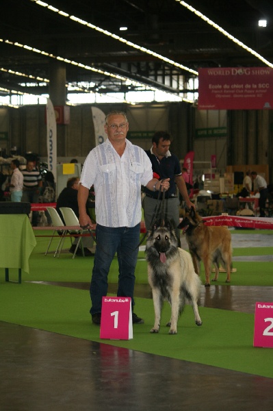 Sr fylline Des Crinieres Aux Vents - 1 ème Excellent Meilleur jeune