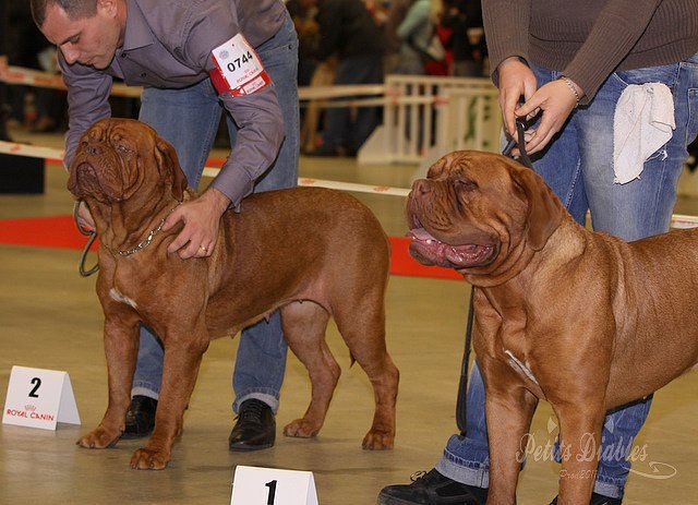 Eva Du clos des vigilants - 2ème excellent