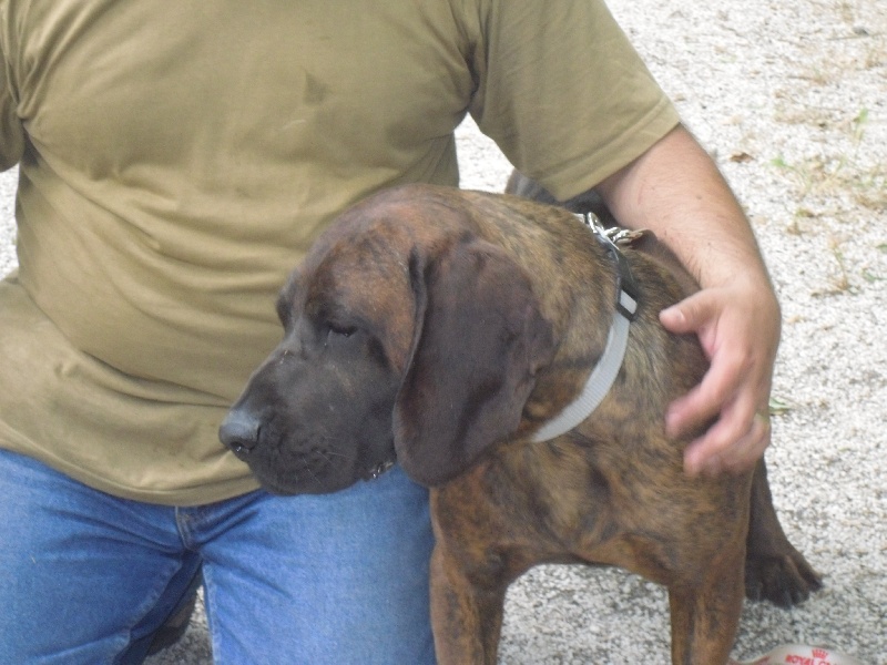 Publication : du gré du vent des oliviers Auteur : Pascal CHARROIN