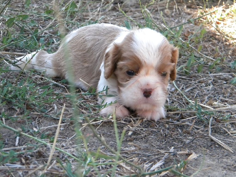 Michka