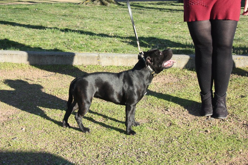 Naisha of bully roger's - excellent