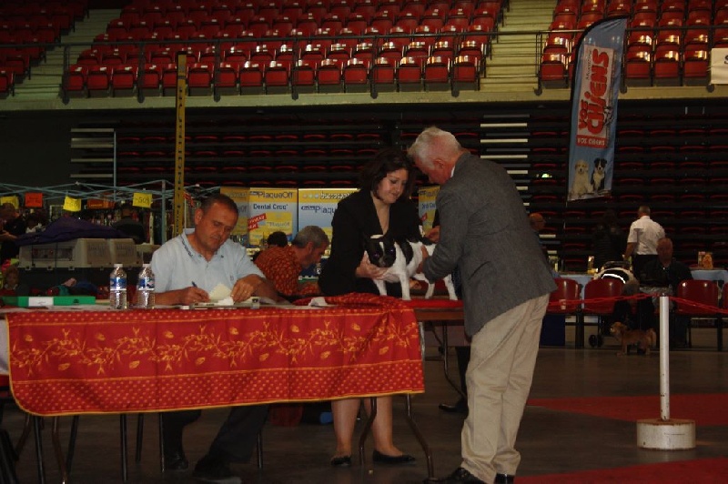 Little amy de l'odyssée des Chaines d'or - 3 eme excellente