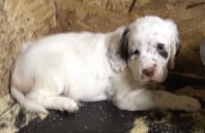 des Paturages du Lomont