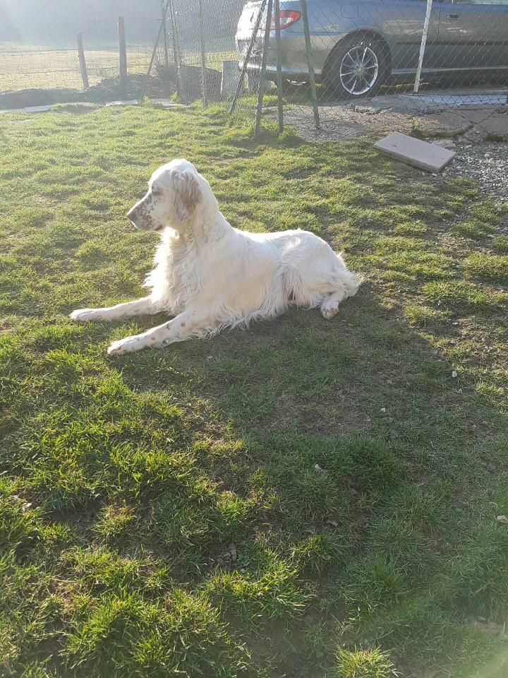 Pame des Paturages du Lomont - Test d'Aptitudes Naturelles