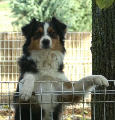 Publication : de l'Orée du Lison Auteur : Mathilde Wallois