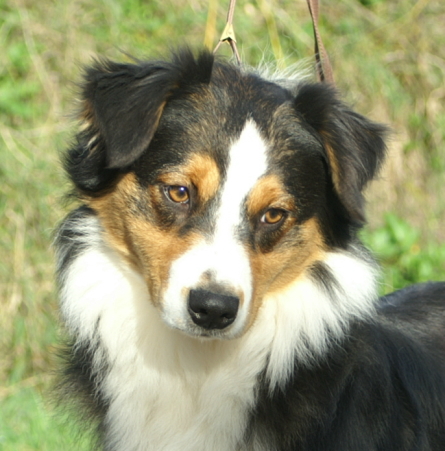 Publication : de l'Orée du Lison Auteur : Mathilde Wallois