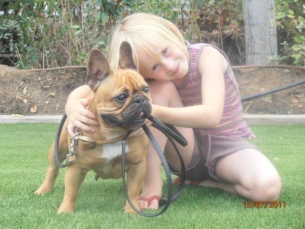 Publication : de la Roche Baude Auteur : simon