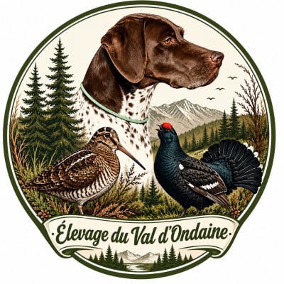 du Val d'Ondaine