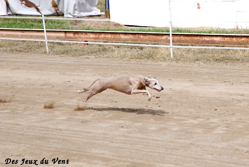 Publication : Des Jeux Du Vent Auteur : Estelle Guinard