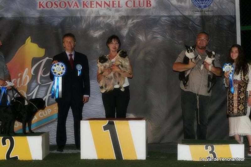 Publication : du Val de L'enchanteur