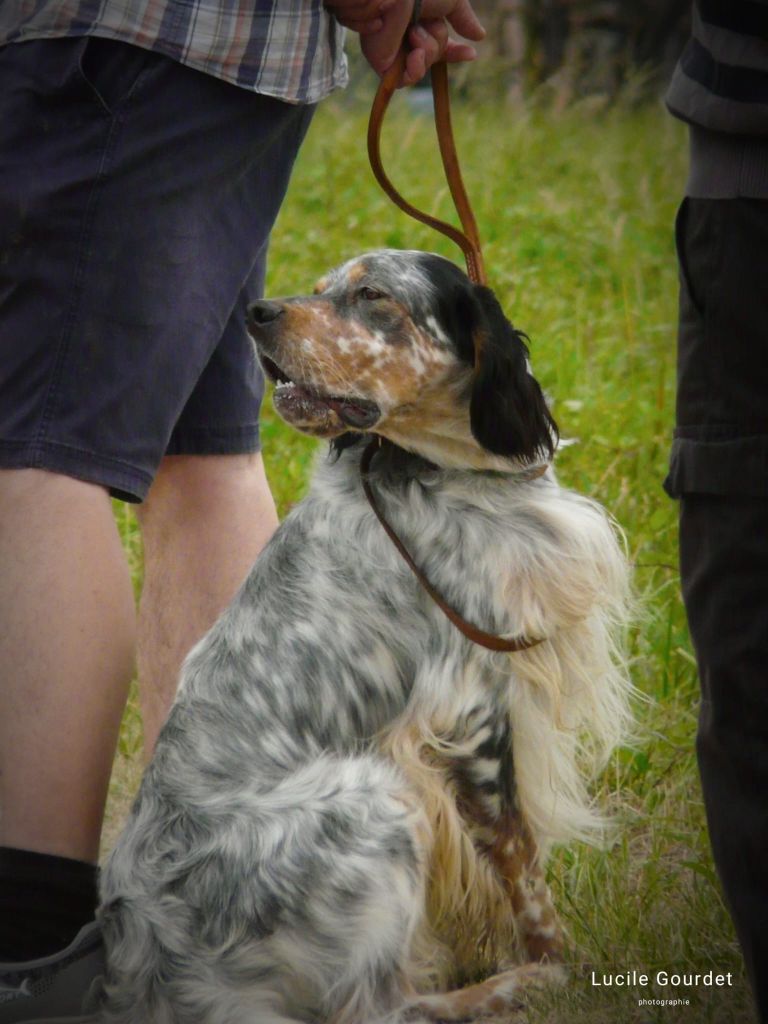 Ulysse des coteaux du monastère