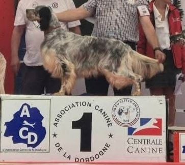 Ulysse des coteaux du monastère