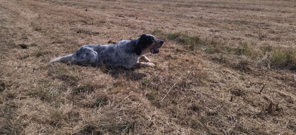 Ulysse des coteaux du monastère