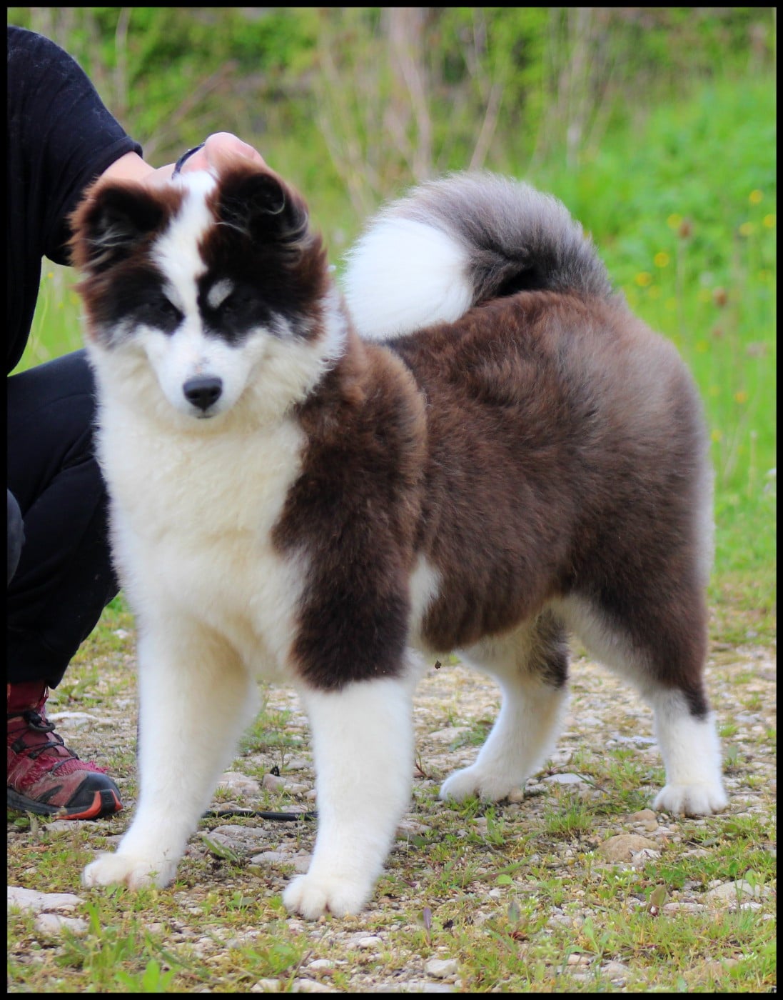 Unforgetable Replay L'eden Des Shokou