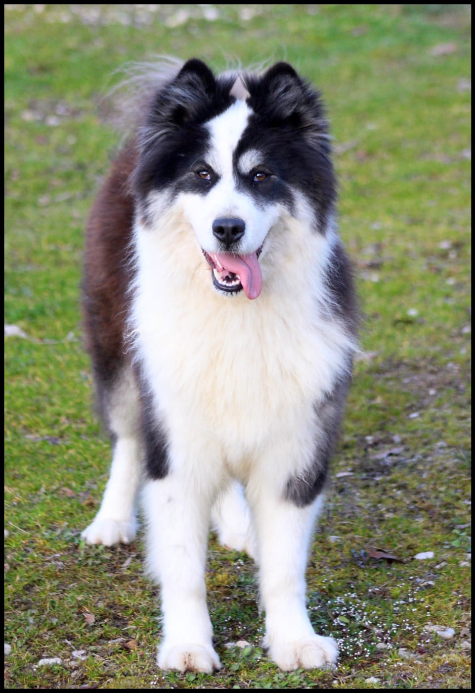 Unforgetable Replay L'eden Des Shokou