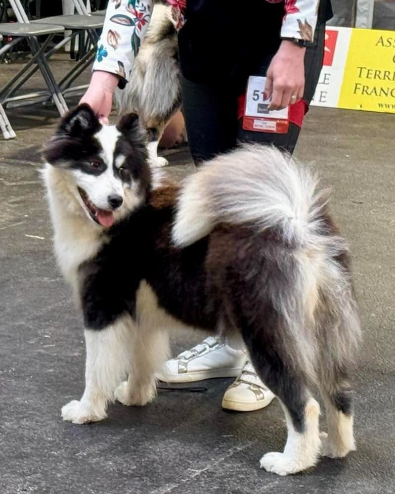 Unforgetable Replay L'eden Des Shokou