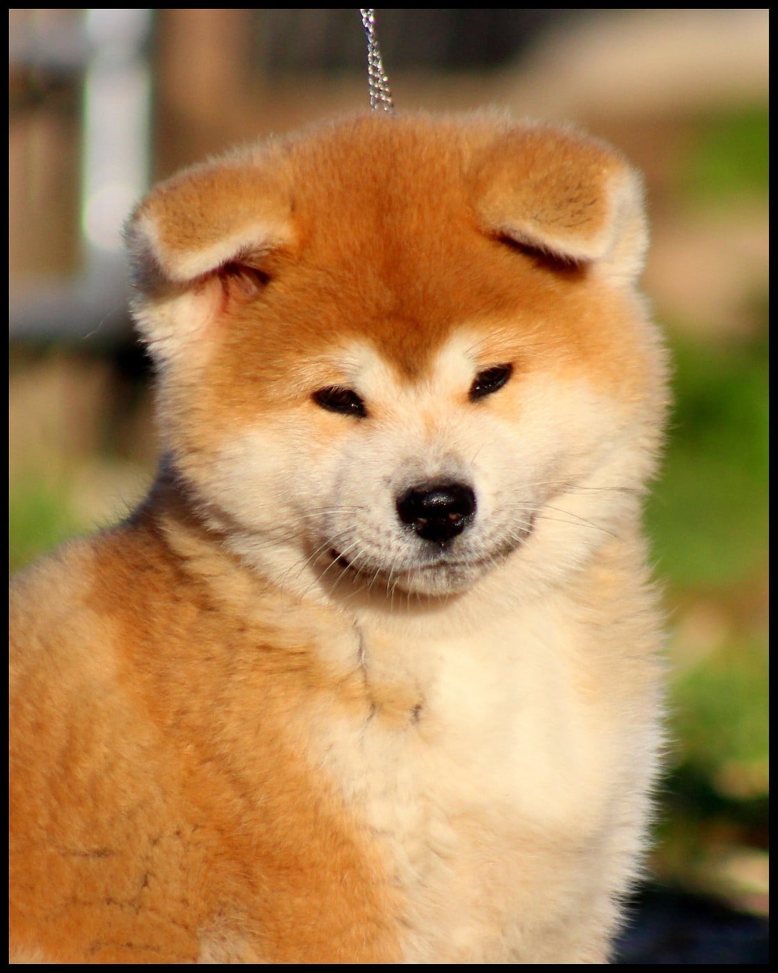 P'Tenkei Go L'eden Des Shokou