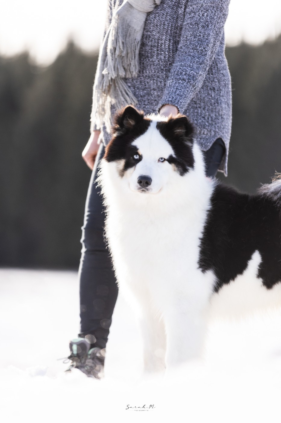 andkoll Ir Lel Smaile of the Sun