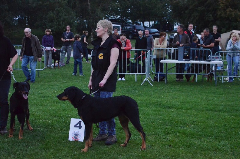 Jyalla de la Nuit sans Lune - Cotation 3, quatrième à la tournette finale