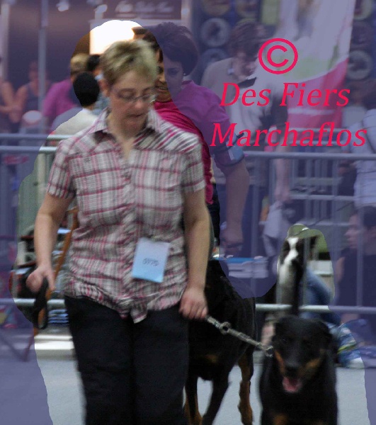 Jyalla de la Nuit sans Lune - 1ère place Excellent CO femelle