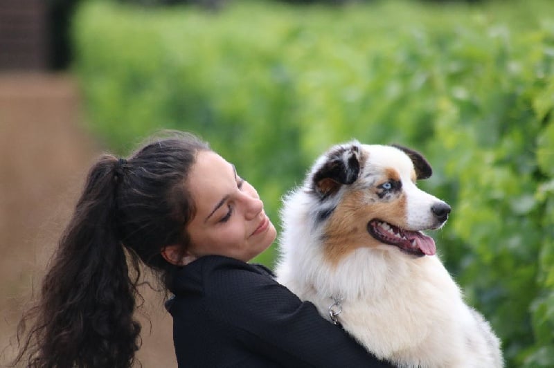 Publication : du Duncallipsy