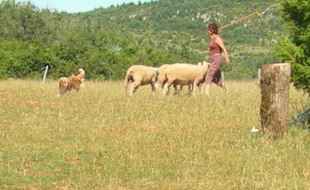 Publication : du Duncallipsy Auteur : Sebe Myriam