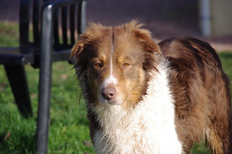 Publication : du Duncallipsy Auteur : Sebe Myriam