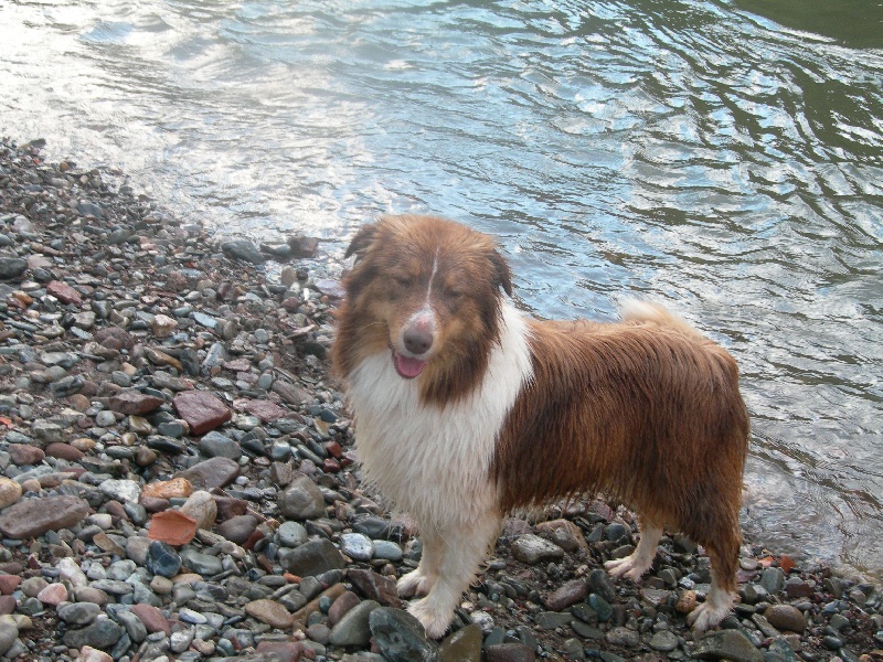 Publication : du Duncallipsy Auteur : Sebe Myriam