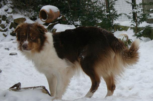 Publication : du Duncallipsy Auteur : Sebe Myriam