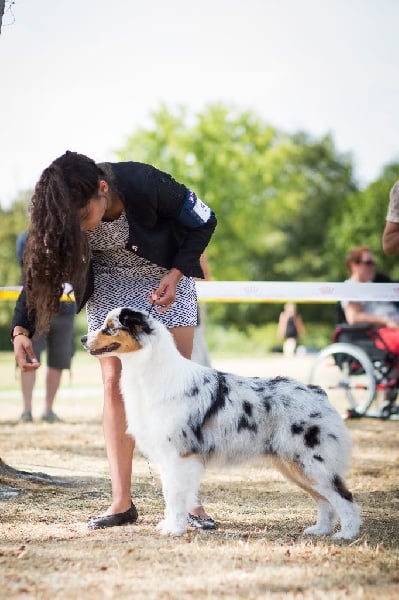 Publication : du Duncallipsy