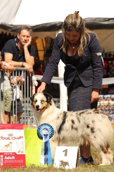 Publication : du Duncallipsy