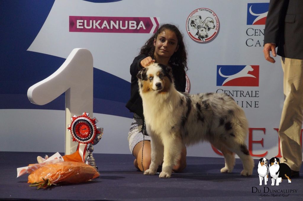 J ch club légende indienne nakoma des minis toon's - 1 ier TP en Puppy meilleur Puppy /9