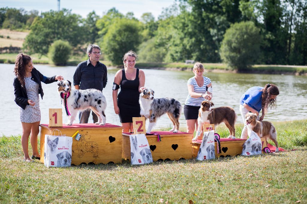 J ch club légende indienne nakoma des minis toon's - 1 ier excellent en jeune femelle CACCJ