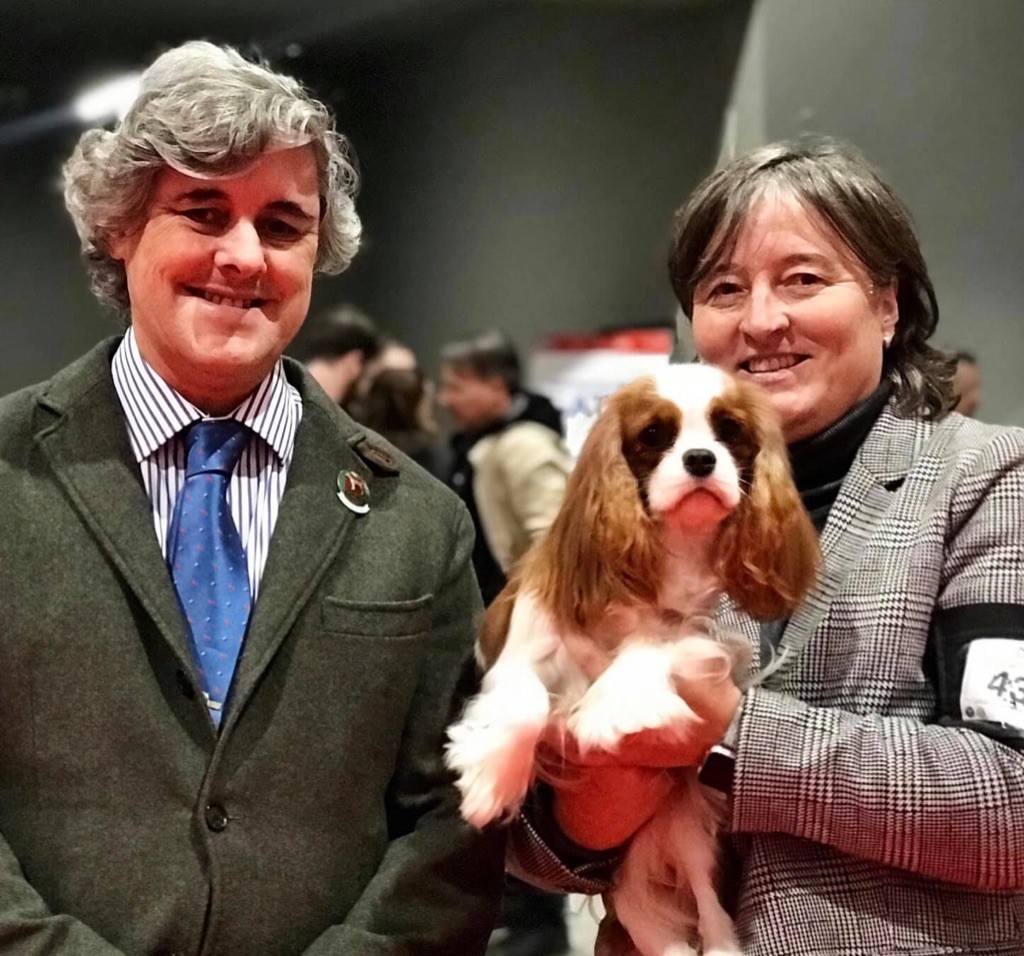 CH. Jr sp gib pt ib ch sp fr mist of a legend De Los Ursidos Kodiak - 1st exc junior Bitch CCJ