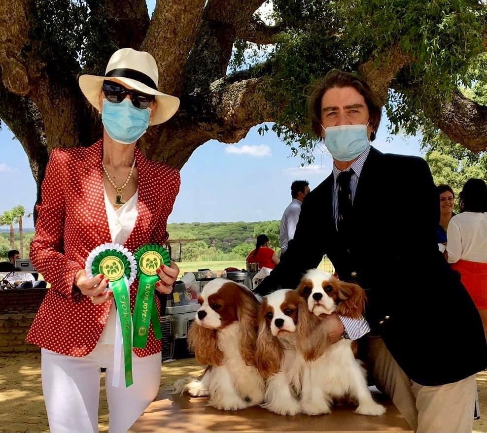 CH. Jr sp gib pt ib ch sp fr mist of a legend De Los Ursidos Kodiak - 1st exc CAC and BEST OF OPPOSITE SEX