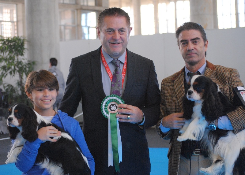 CH. Jr gib sp,ch ib cs gib sp pt ib gone with the wind of Sevijean's - 1st exc interm, CAC and BOB