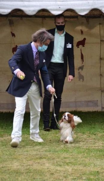 CH. Dandy's heart De Los Ursidos Kodiak - 2ND EXC JUNIOR CLASS