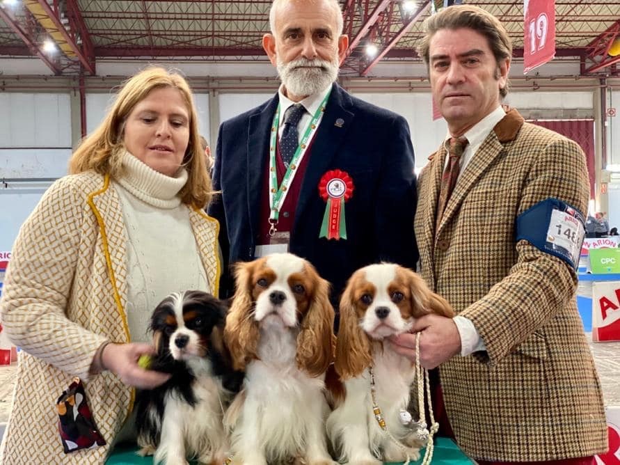 CH. Jr sp gib pt ib ch sp fr mist of a legend De Los Ursidos Kodiak - 1st exc junior class CCJ Best junior Bitch, best Bitch and BEST OF OPPOSITE