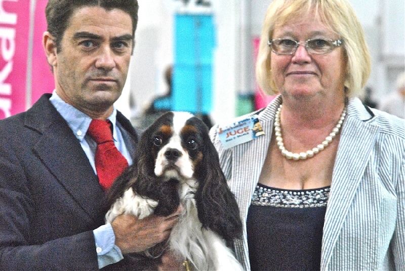 CH. Jr gib sp,ch ib cs gib sp pt ib gone with the wind of Sevijean's - 1st intermediate class, CAC, CACIB.