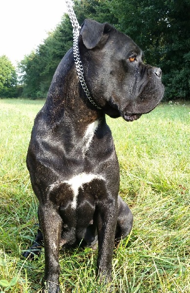 Publication : des Reflets de la Calabre Auteur : PEU Marielle et Jean-Michel