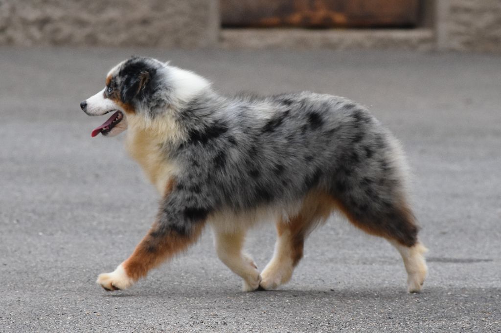 Publication : De La Folle Emprise