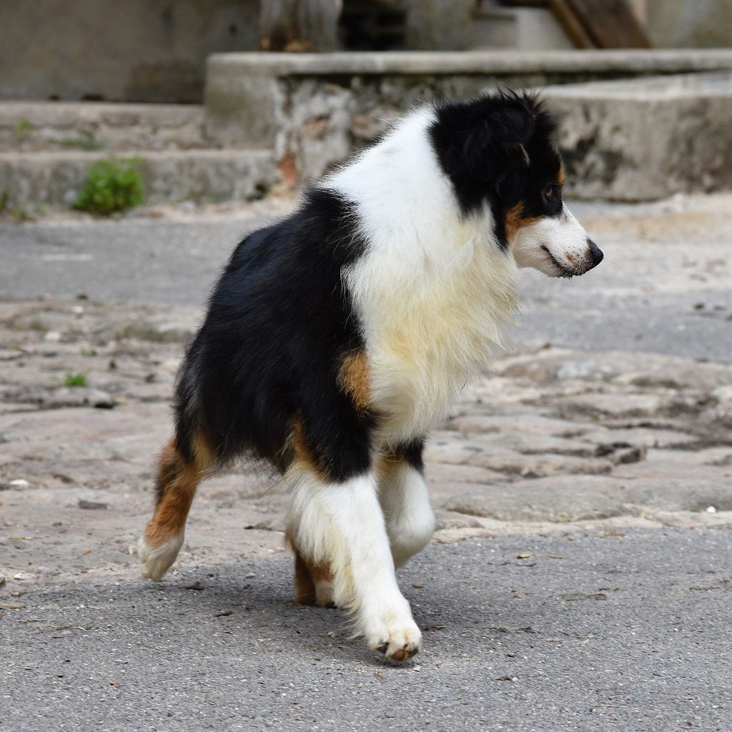 Say a little prayer for you De La Folle Emprise