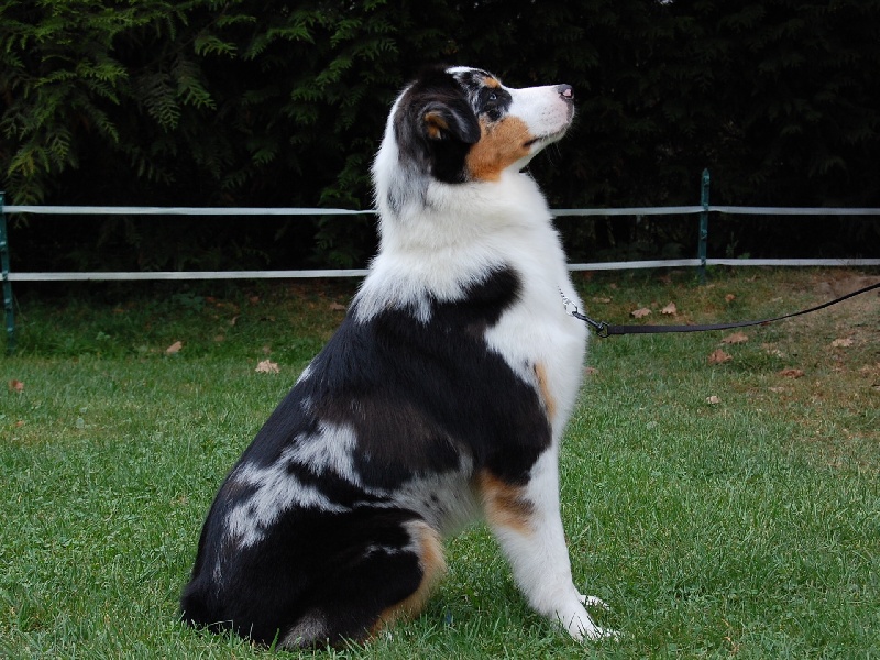 Publication : De La Folle Emprise Auteur : Chrystelle Calixte