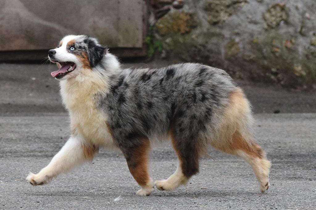 Publication : De La Folle Emprise