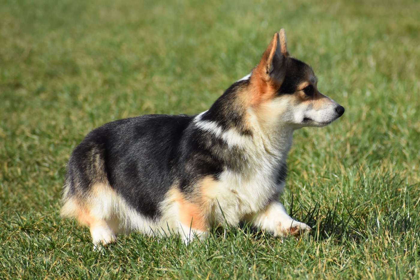 Publication : De La Folle Emprise