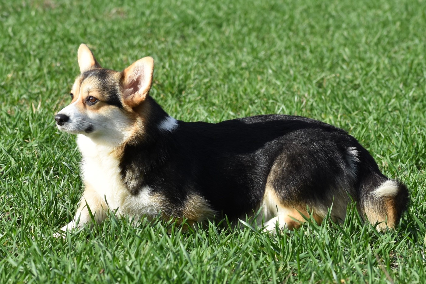 Publication : De La Folle Emprise