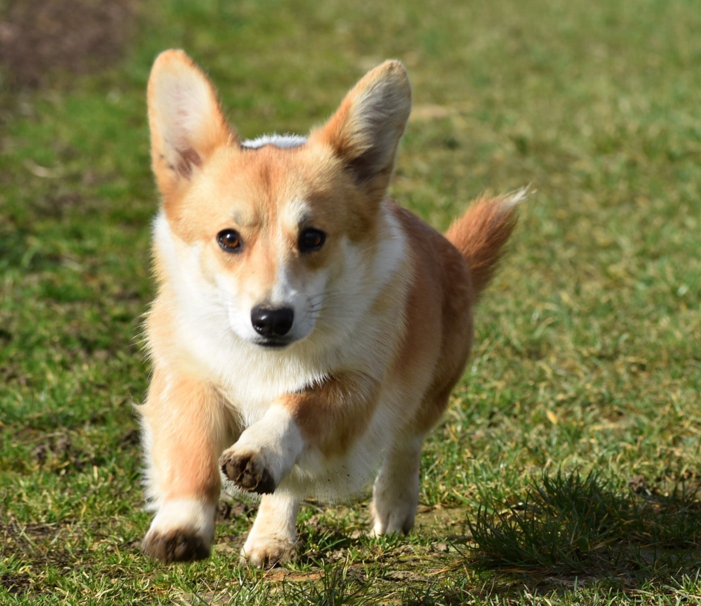 Publication : De La Folle Emprise