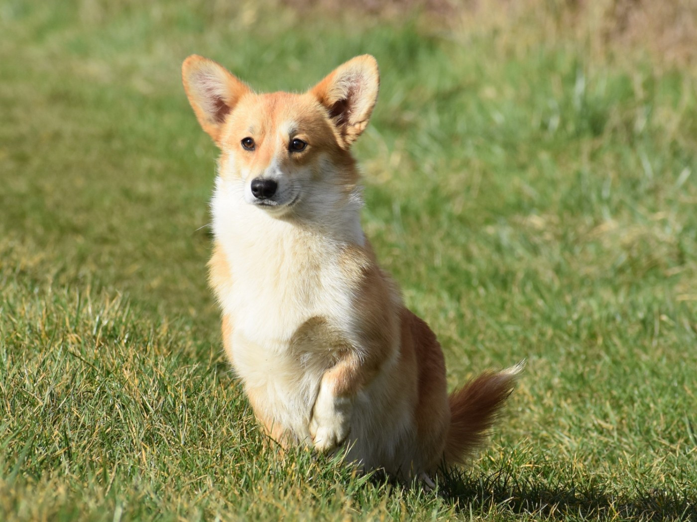 Publication : De La Folle Emprise