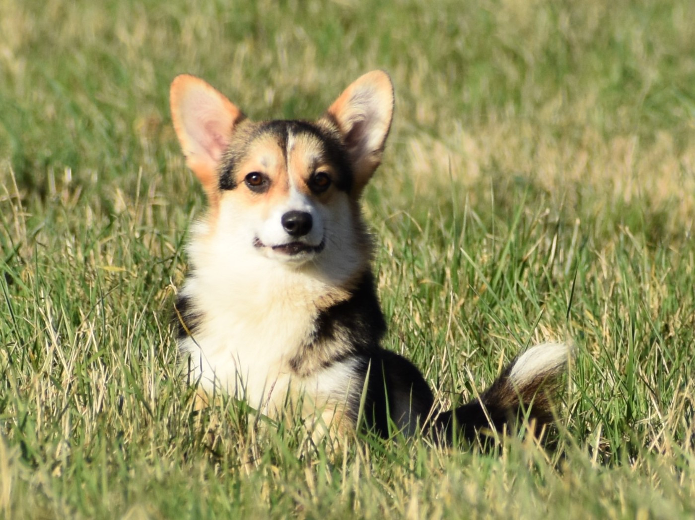 Publication : De La Folle Emprise