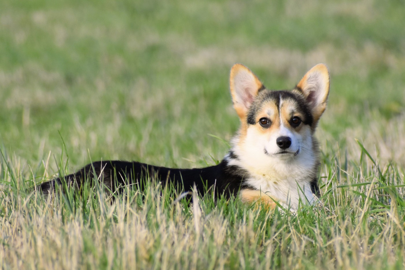 Publication : De La Folle Emprise